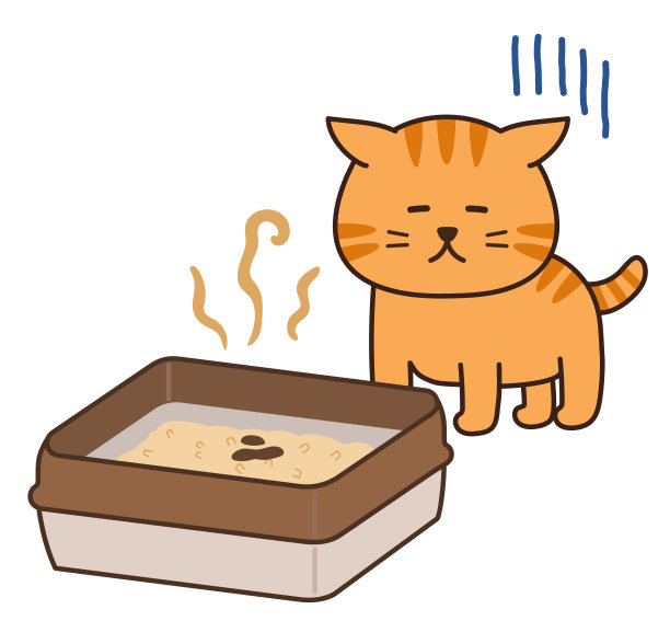 虎斑猫对凌乱的砂盆感到沮丧。图片下载