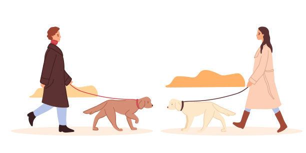 男人和女人穿着暖和的外套走拉布拉多猎犬的皮带。带宠物散步服务。十几岁的女孩花时间在秋天公园，遛狗户外。照顾动物。狗的相遇，动物的友谊图片下载
