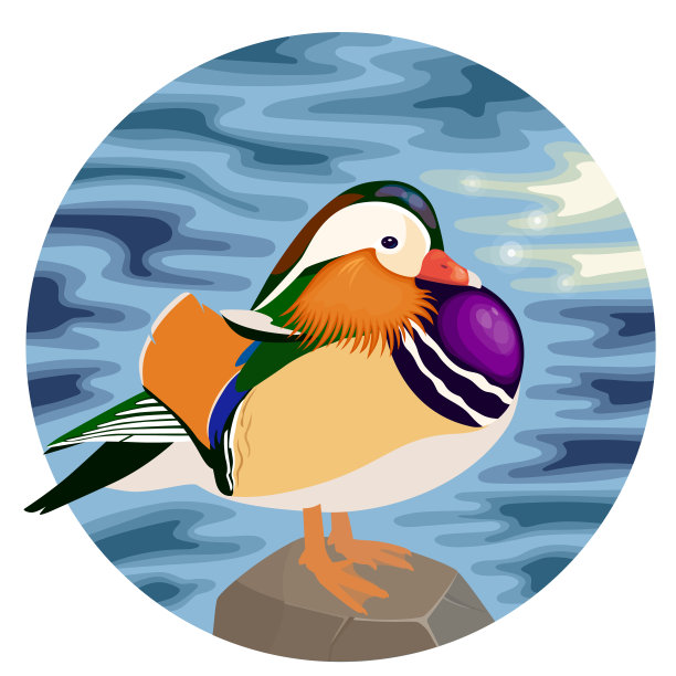 圆水背景上的鸳鸯图片下载