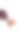 照片里的女人穿着复古的棕色鞋子和脱光的袜子。时尚古董店概念图片下载