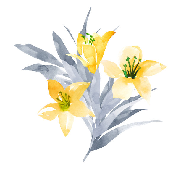 春天的一束百合花图片下载