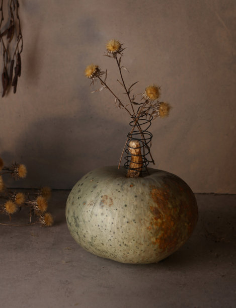 冬天的南瓜和干花静物画。图片下载