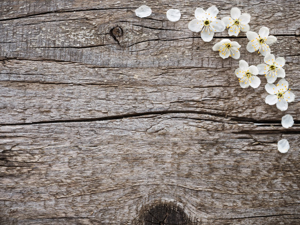 美丽的图案与美国国旗的颜色图片下载