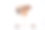 杰克罗素梗狗的爪子放在桌子上。可爱的狗狗画像图片下载