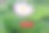 组成“七月”这个词的红色方块在一张绿色的纸上。紫丁香花的背面图片下载