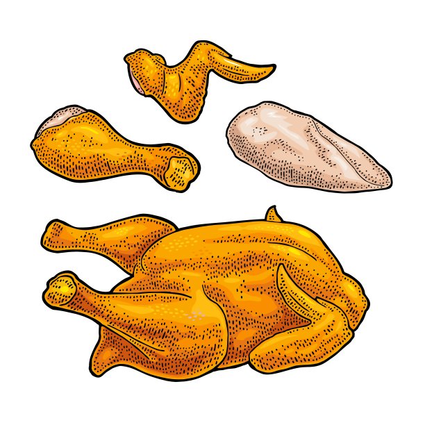 整只，腿，翅膀烤鸡。复古彩色雕刻插图图片下载