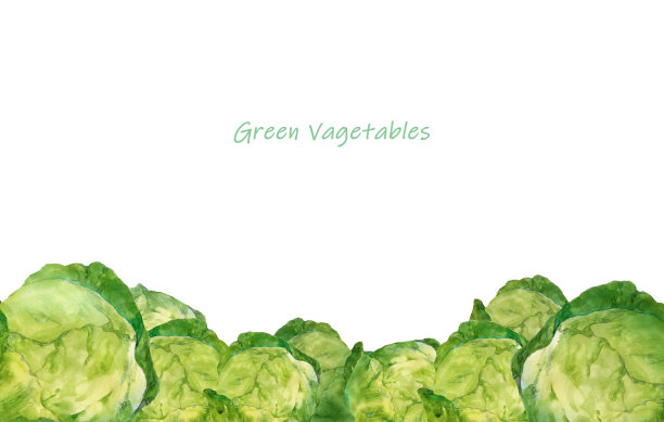 卷心菜字段说明图片下载