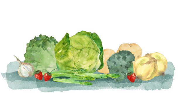 水彩春季蔬菜图片下载