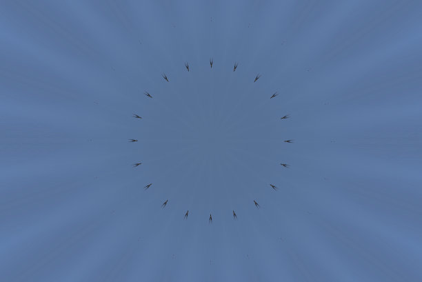 加拿大鹅群瓷砖- 1V图片下载