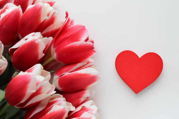 白色背景上的红色郁金香和红心花束图片下载