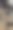 树上的三个结图片下载