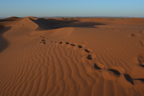 日落时在沙漠的沙滩上留下脚印。图片下载