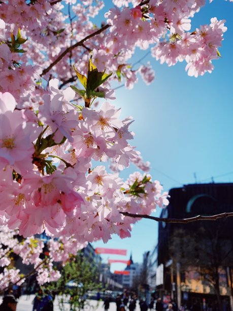 汉诺威城市图片下载