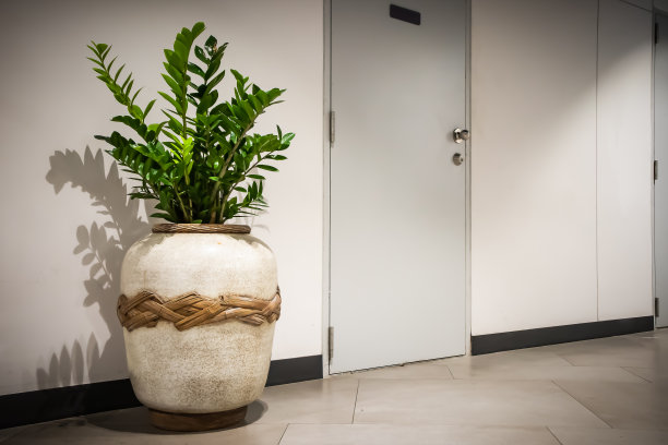 装饰花盆装饰在走廊门附近，室内背景图片下载