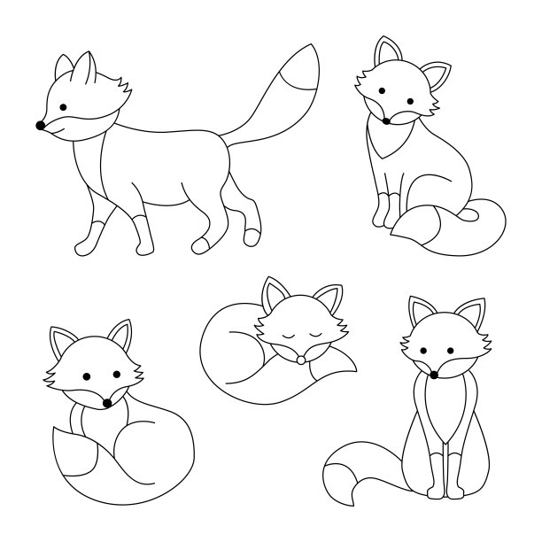 一组可爱的狐狸。图片下载