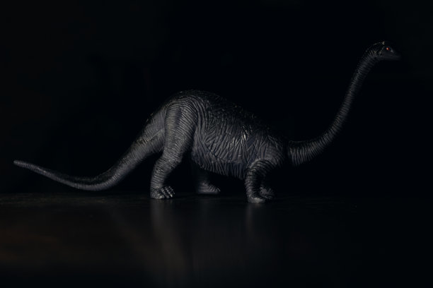 黑色的小恐龙在黑暗中，不存在的动物图片下载