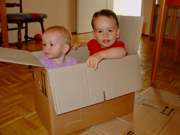 搬出去-两个孩子在一个箱子里图片下载