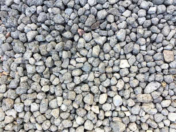 海卵石图片下载