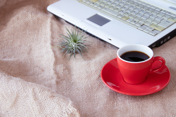 远程工作或网上购物图片下载