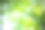 (选择性聚焦)在一个阳光明媚的日子里，一片散焦的竹林令人惊叹的景象。日本京都岚山竹林。自然，绿色背景与复制空间。图片下载