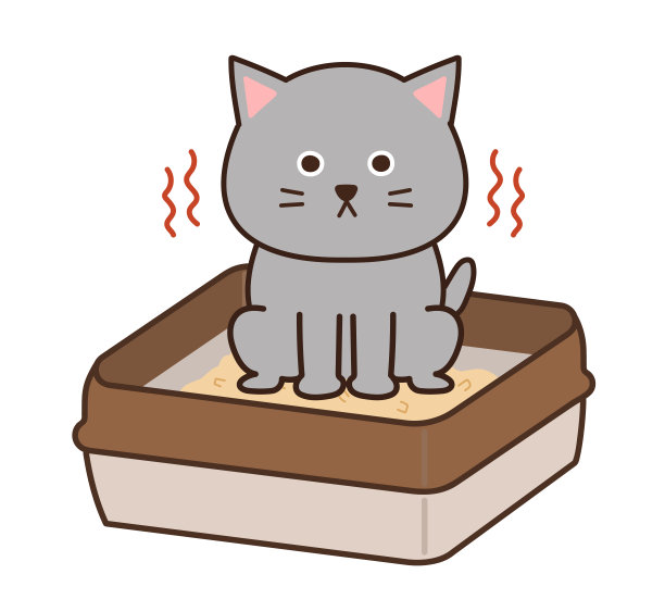 灰猫在做他的事。图片下载