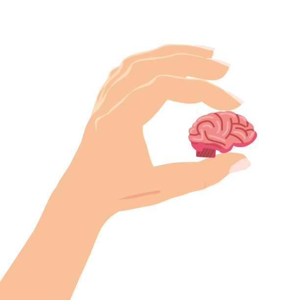 手牵着大脑仔细象征着精神健康。概念心理学和心理治疗。向量孤立图片下载