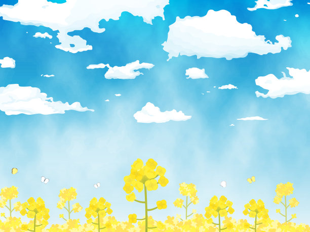 油菜花景观插图图片下载