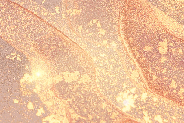 玫瑰光泽，石材和大理石的金色纹理。酒精墨水技术图片下载