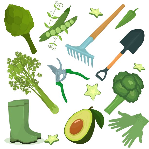一套以春天和花园植物为主题的插图。园艺工具和蔬菜种植在花园里图片下载