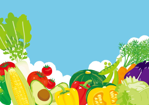 蔬菜插图背景框。图片下载