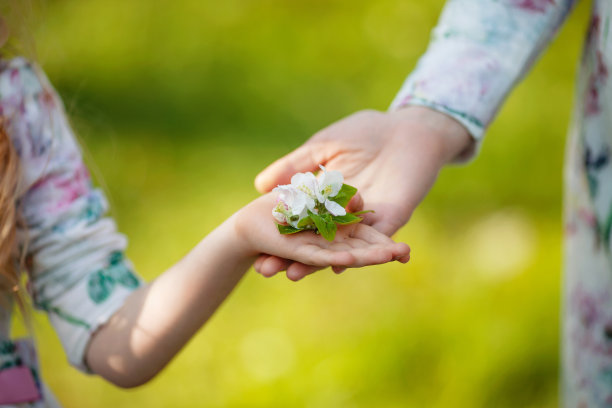 母亲和孩子把梅花递了过去。幸福的家庭的概念图片下载