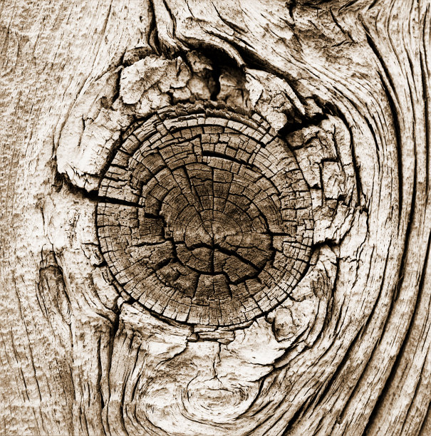 木结特写图片下载