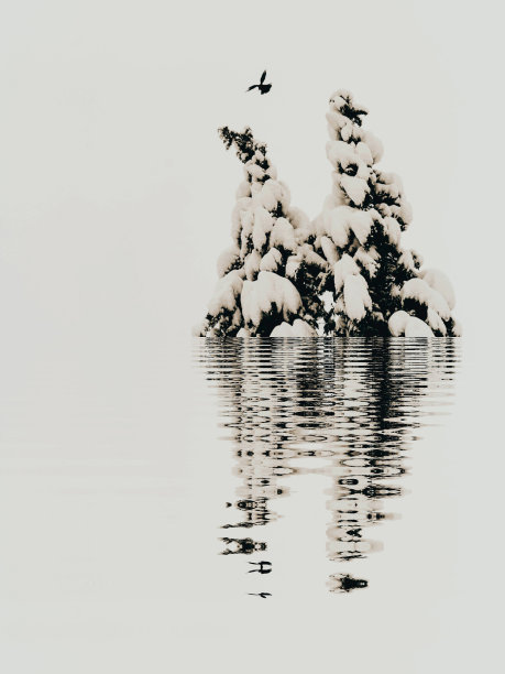 冬天的神奇土地图片下载