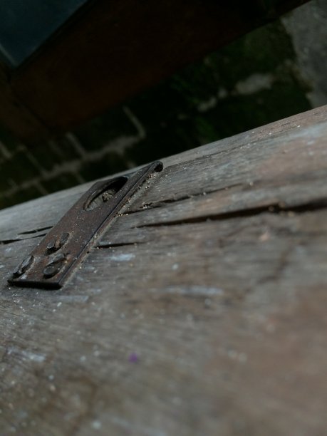 自然老柴图片下载