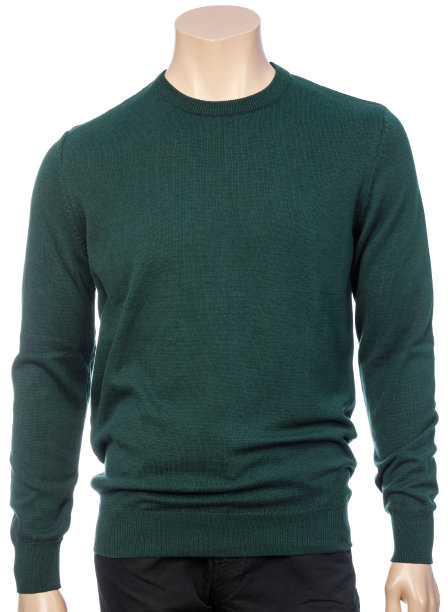 绿色长袖套头衫上的人体模型孤立图片下载