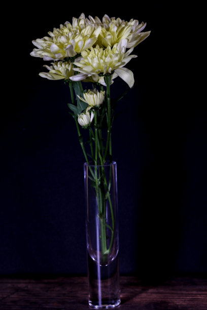 玻璃花瓶里插着黄色菊花图片下载