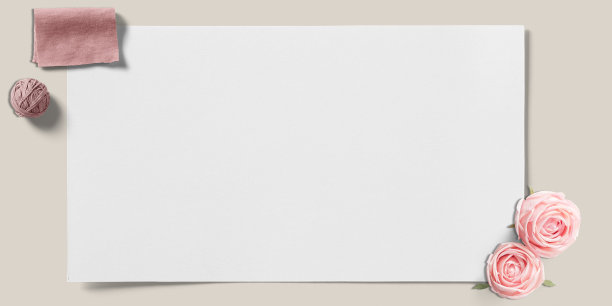 玫瑰花开花框架与白纸与复制空间3D插图图片下载