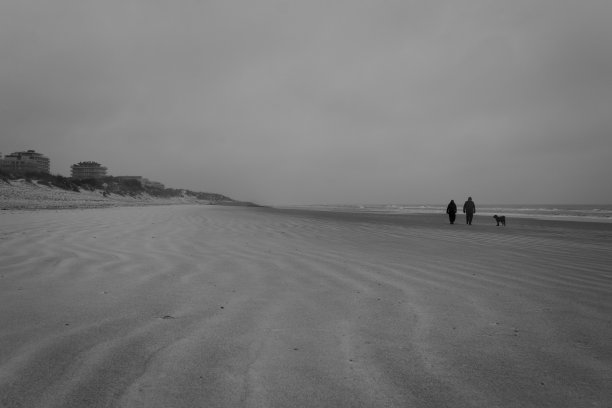 沙滩氛围。图片下载