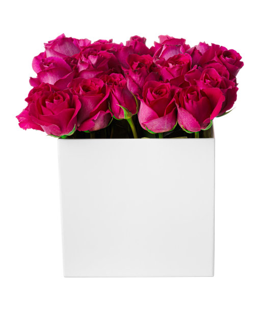 盒子里的粉红玫瑰在白色的背景上孤立图片下载
