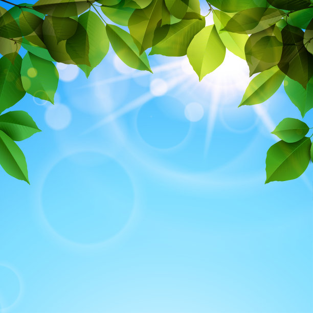 春天的背景是绿叶和阳光图片下载