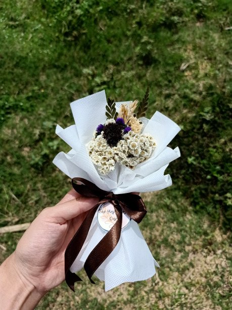 迷你花束edelweis图片下载