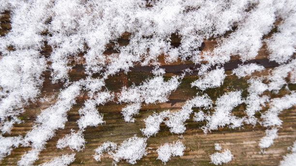 微距照片的雪在木头上。冬天树林里下着白雪皑皑的木雨。图片下载