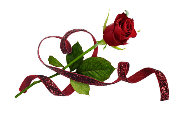心形的天鹅绒缎带和孤立在白色背景上的红玫瑰图片下载
