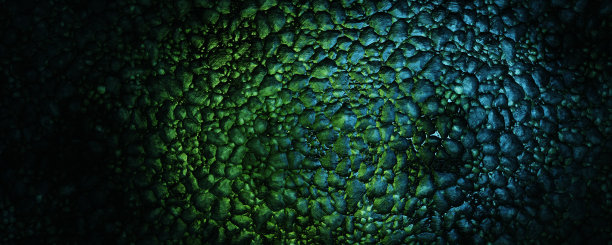 爬行动物皮肤纹理背景图片下载