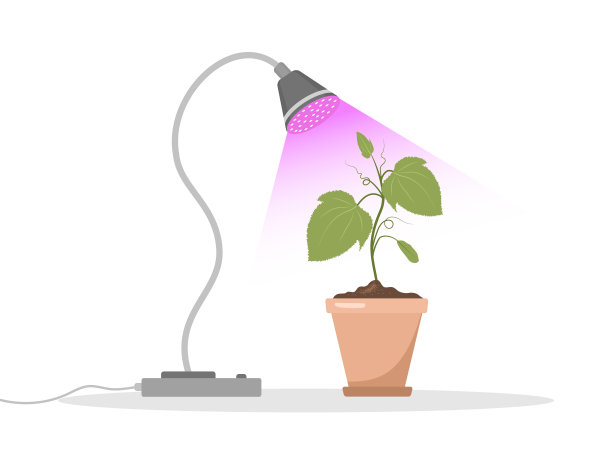 春季秧苗在盆栽灯下。用紫光种植园艺植物。素食和生态产品。矢量插图在平面卡通风格。植物护理的概念图片下载