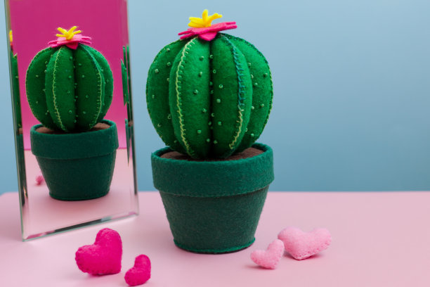 反射的毛毡玩具仙人掌附近的镜子与心。针线活的概念，情人节卡片，求婚。它可以是柔软的。图片下载