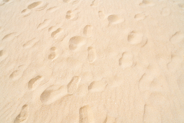 沙滩上的鸟脚印照片图片下载