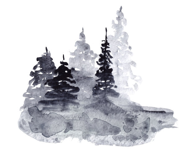 水彩灰色圣诞树孤立的白色背景。雾蒙蒙的森林和冷杉插图。文本空间图片下载