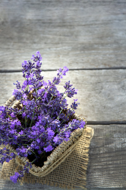 木桌上放着新鲜的薰衣草花。夏花的背景。图片下载