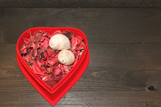 两只蜗牛和干玫瑰花瓣放在一个红色的心形礼盒里图片下载